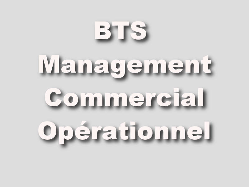 bts Management Commercial Opérationnel strasbourg